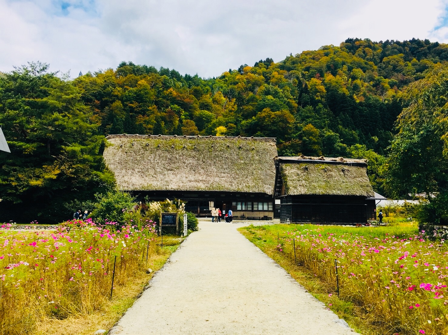 白川郷に行ってきました