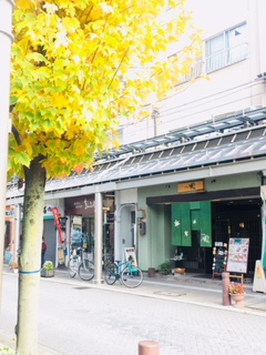 飛騨高山の紅葉